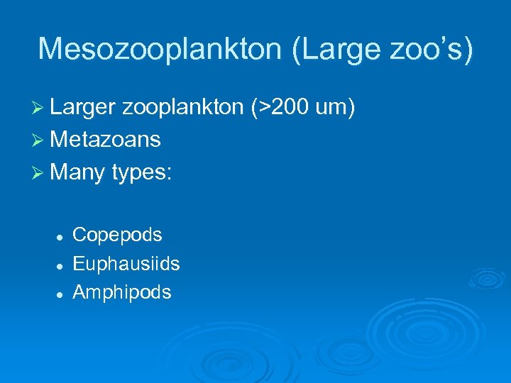 Mesozooplankton (Large zoo’s) Ø Larger zooplankton (>200 um) Ø Metazoans Ø Many types: l