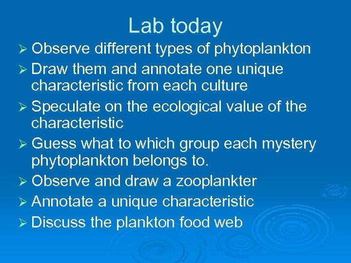 Lab today Ø Observe different types of phytoplankton Ø Draw them and annotate one