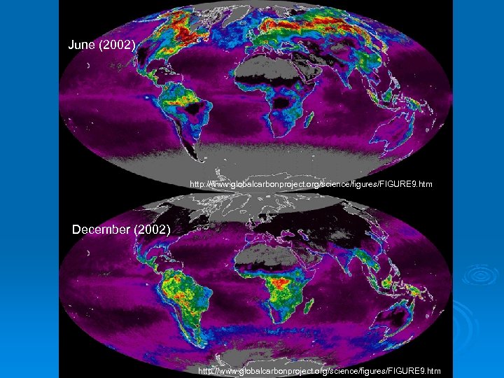 June (2002) http: //www. globalcarbonproject. org/science/figures/FIGURE 9. htm December (2002) http: //www. globalcarbonproject. org/science/figures/FIGURE