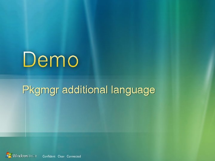 Pkgmgr additional language 