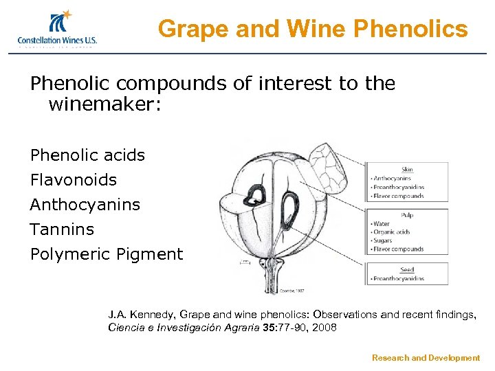 Grape and Wine Phenolics Phenolic compounds of interest to the winemaker: Phenolic acids Flavonoids