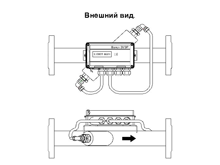 Внешний вид. 