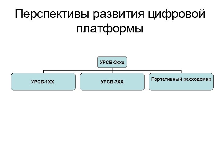 Перспективы развития цифровой платформы УРСВ-5 ххц УРСВ-1 ХХ УРСВ-7 ХХ Портативный расходомер 