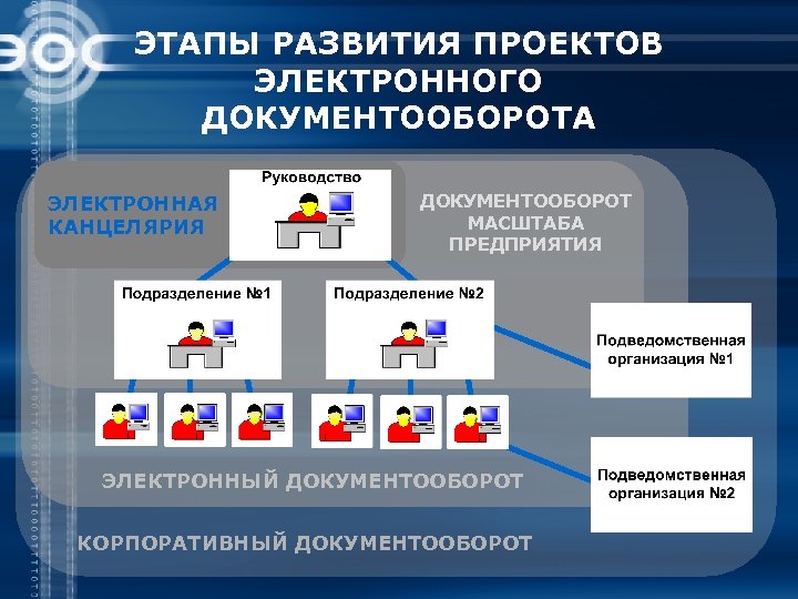 Руководитель проекта эдо