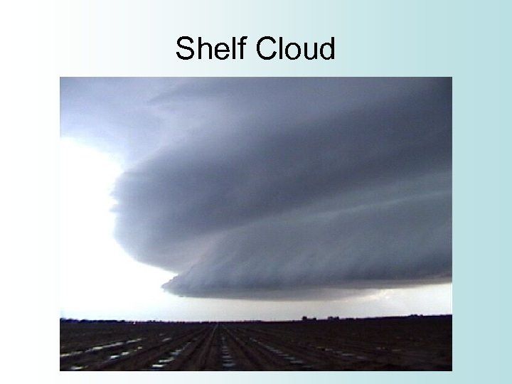 Shelf Cloud 
