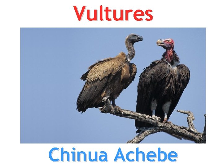 Vultures Chinua Achebe 