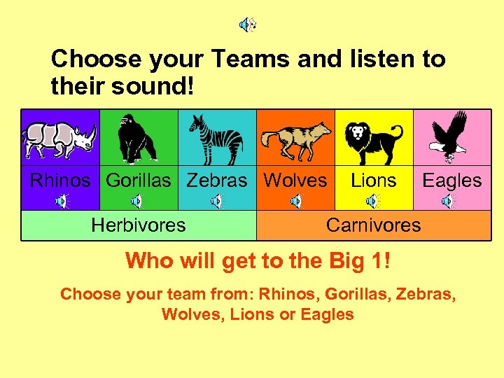Choose your Teams and listen to their sound! Rhinos Gorillas Zebras Wolves Herbivores Lions