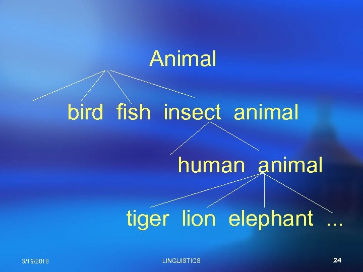 Animal bird fish insect animal human animal tiger lion elephant. . . 3/19/2018 LINGUISTICS