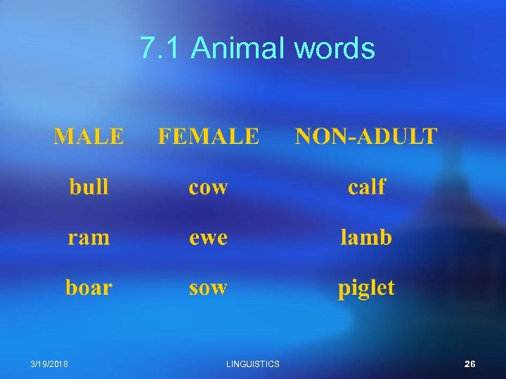 7. 1 Animal words 3/19/2018 LINGUISTICS 26 