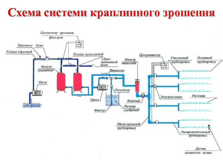 Схема системи краплинного зрошення 