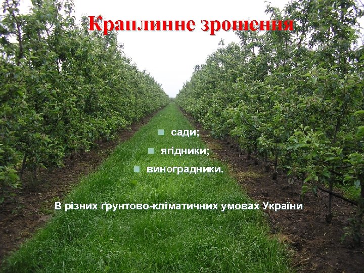 Краплинне зрошення n сади; n ягідники; n виноградники. В різних ґрунтово-кліматичних умовах України 