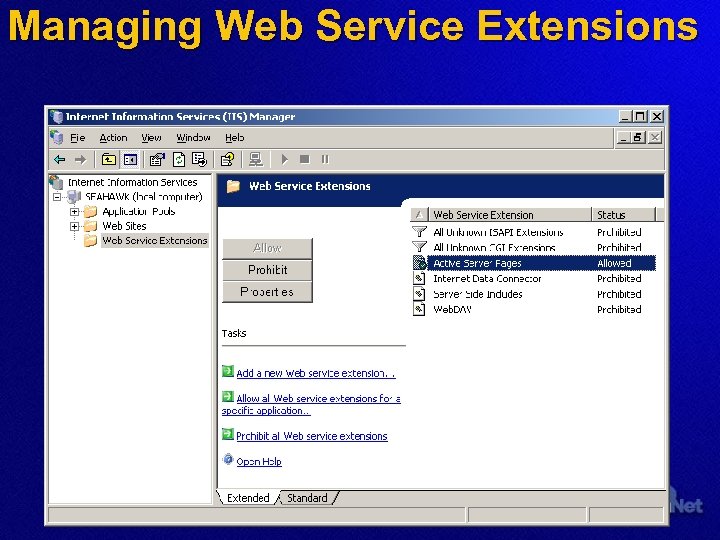 Managing Web Service Extensions 