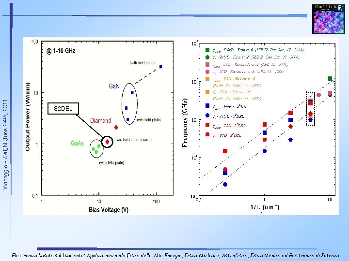 Viareggio – CAEN June 24 th, 2011 S 2 DEL Elettronica basata sul Diamante: