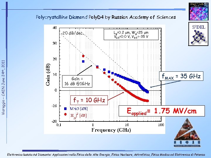 Polycrystalline Diamond Poly. D 4 by Russian Academy of Sciences S 2 DEL Viareggio