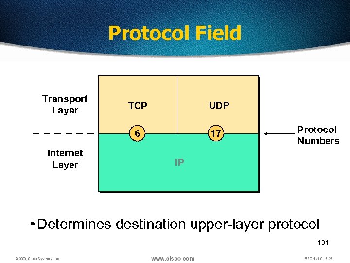 Protocol Field Transport Layer UDP TCP 6 Internet Layer 17 Protocol Numbers IP •