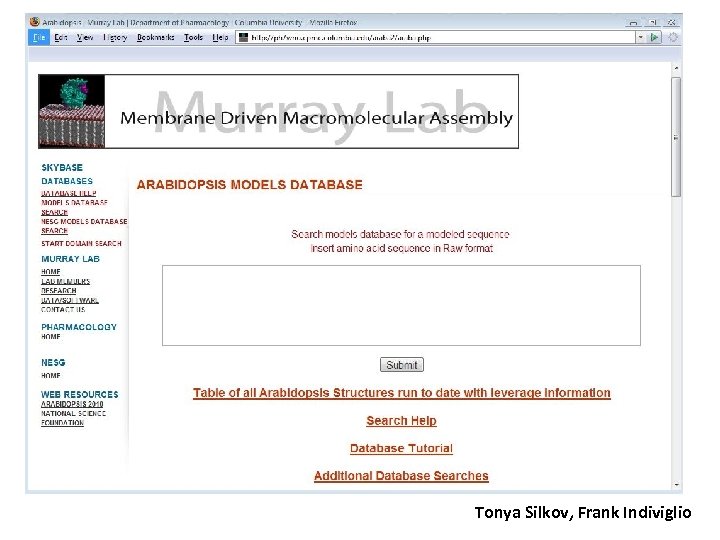 Tonya Silkov, Frank Indiviglio 