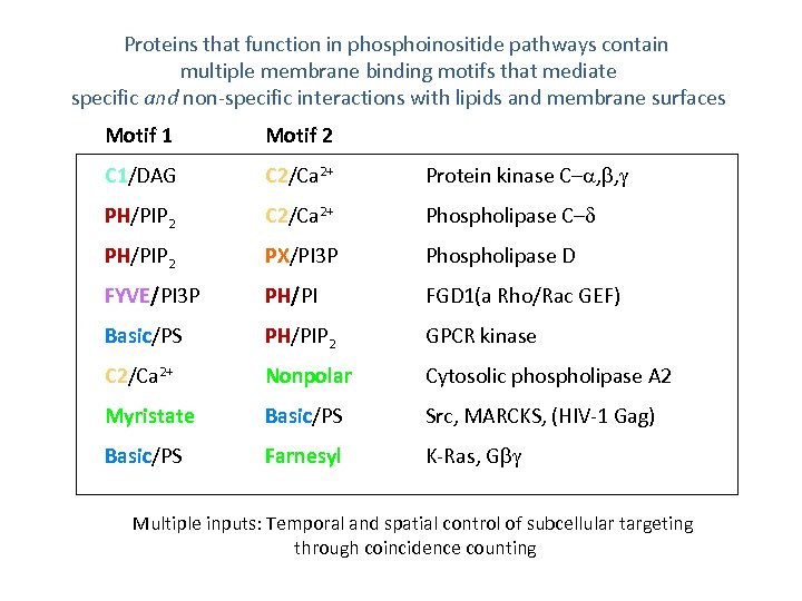Proteins that function in phosphoinositide pathways contain multiple membrane binding motifs that mediate specific