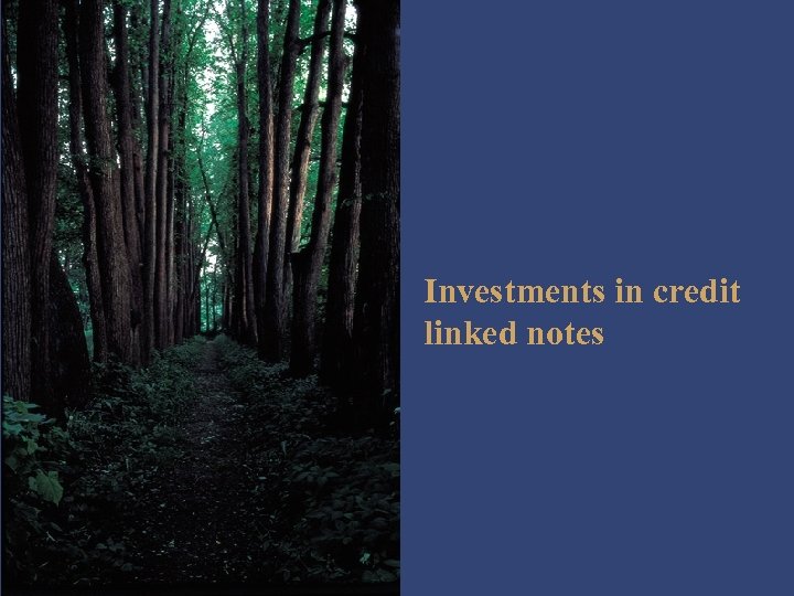 Investments in credit linked notes 