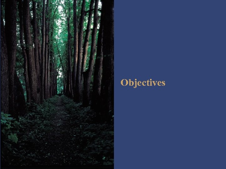 Objectives 