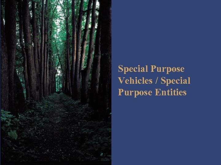 Special Purpose Vehicles / Special Purpose Entities 