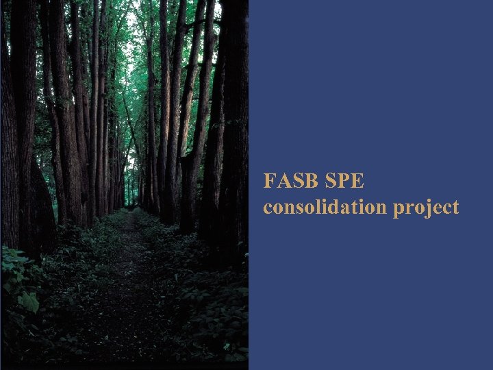 FASB SPE consolidation project 