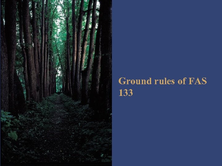 Ground rules of FAS 133 