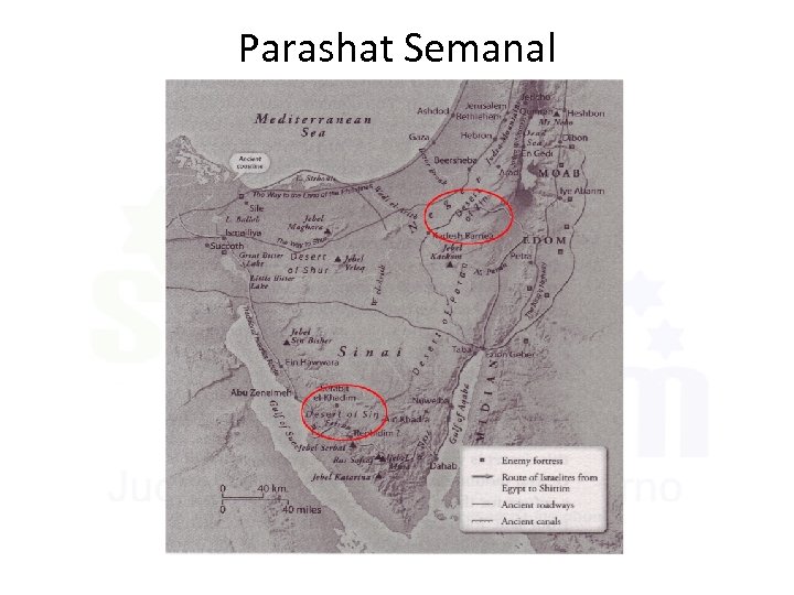 Parashat Semanal פרשת שבוע 