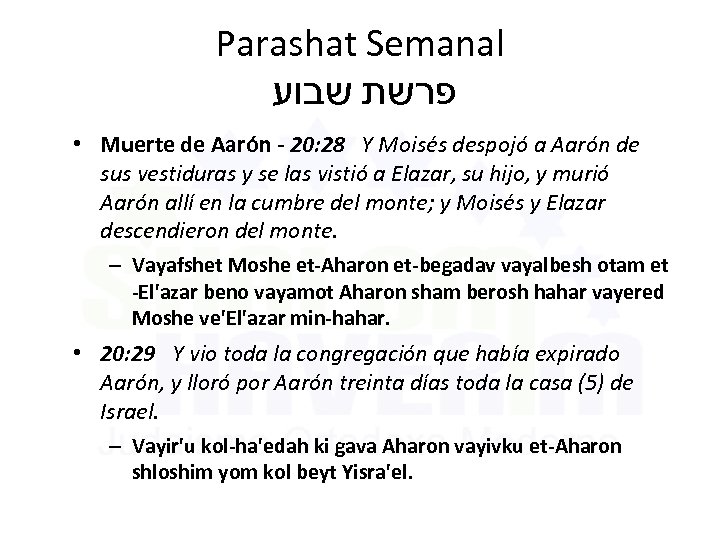 Parashat Semanal פרשת שבוע • Muerte de Aarón - 20: 28 Y Moisés despojó