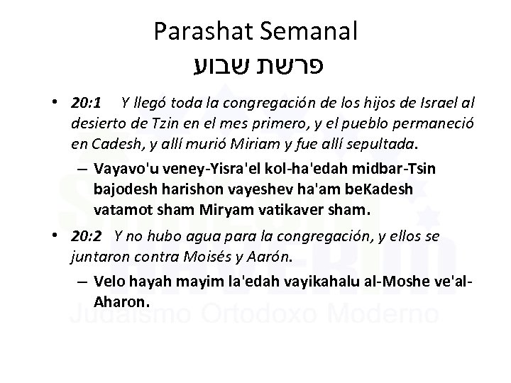 Parashat Semanal פרשת שבוע • 20: 1 Y llegó toda la congregación de los