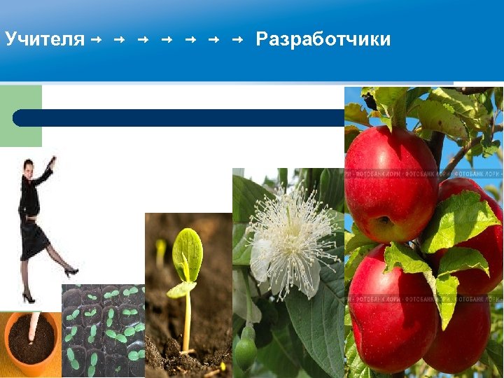 Учителя → → → → Разработчики 