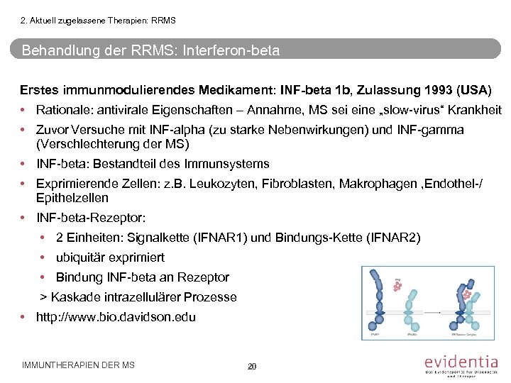 2. Aktuell zugelassene Therapien: RRMS Behandlung der RRMS: Interferon-beta Erstes immunmodulierendes Medikament: INF-beta 1