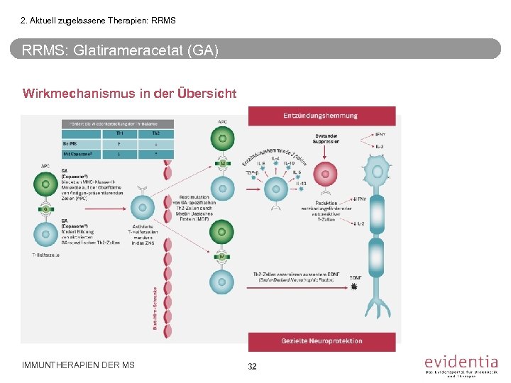 2. Aktuell zugelassene Therapien: RRMS: Glatirameracetat (GA) Wirkmechanismus in der Übersicht IMMUNTHERAPIEN DER MS