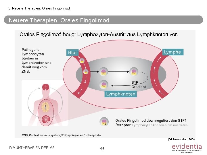 3. Neuere Therapien: Orales Fingolimod beugt Lymphozyten-Austritt aus Lymphknoten vor. [Brinkmann et al. ,