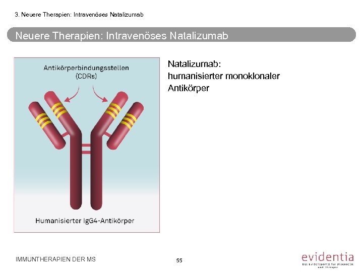 3. Neuere Therapien: Intravenöses Natalizumab: humanisierter monoklonaler Antikörper IMMUNTHERAPIEN DER MS 55 
