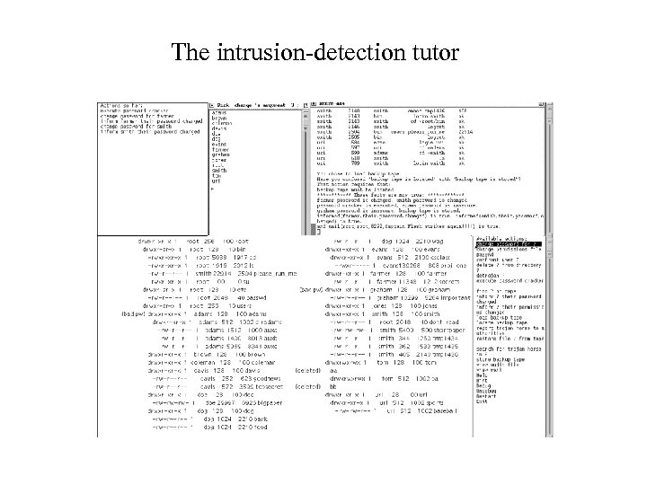 The intrusion-detection tutor 