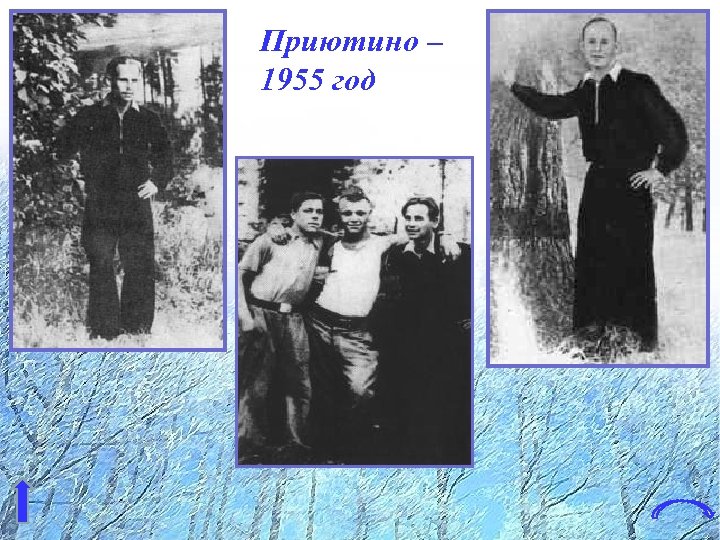 Приютино – 1955 год 