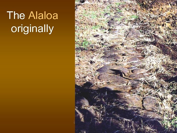 The Alaloa originally 