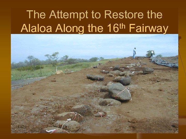 The Attempt to Restore the Alaloa Along the 16 th Fairway 