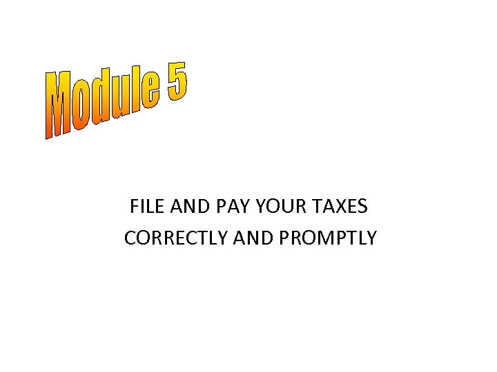 FILE AND PAY YOUR TAXES CORRECTLY AND PROMPTLY 