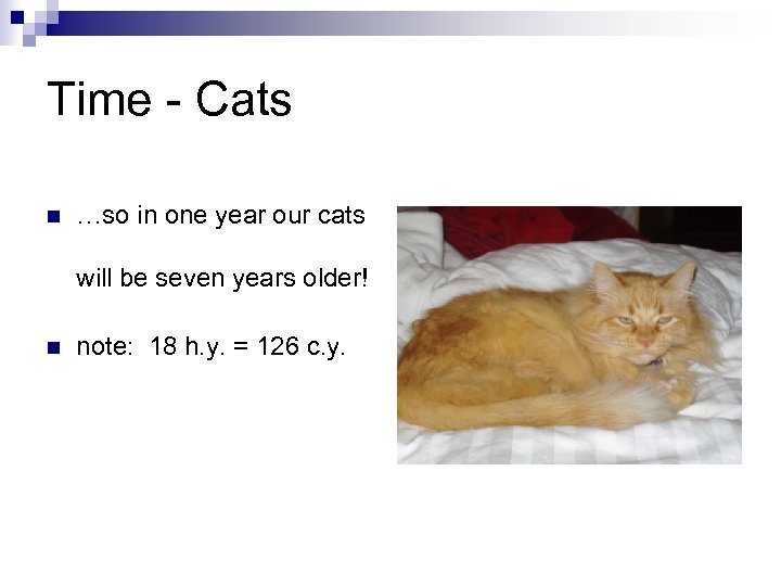 Time - Cats n …so in one year our cats will be seven years