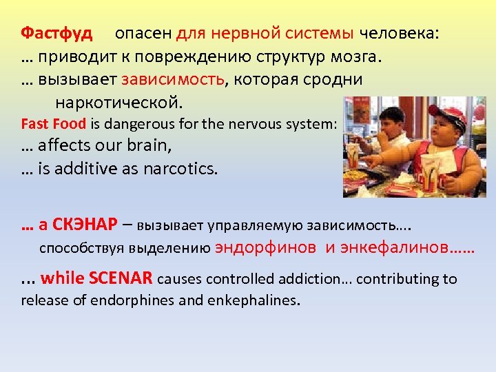 Фастфуд опасен для нервной системы человека: … приводит к повреждению структур мозга. … вызывает