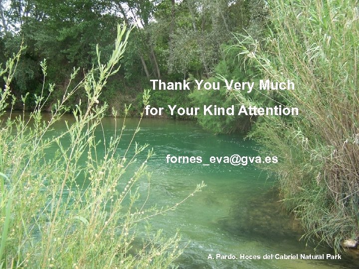 Thank You Very Much for Your Kind Attention fornes_eva@gva. es A. Pardo. Hoces del