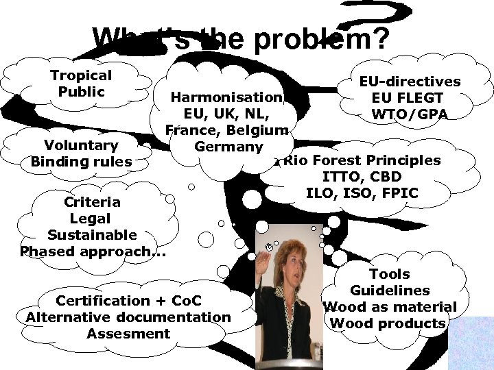 What’s the problem? Tropical Public Voluntary Binding rules EU-directives EU FLEGT WTO/GPA Harmonisation EU,