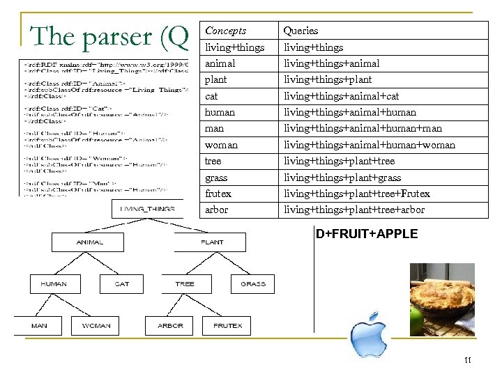 The parser (Query expansion) FOOD FRUIT Concepts living+things animal plant cat human woman tree