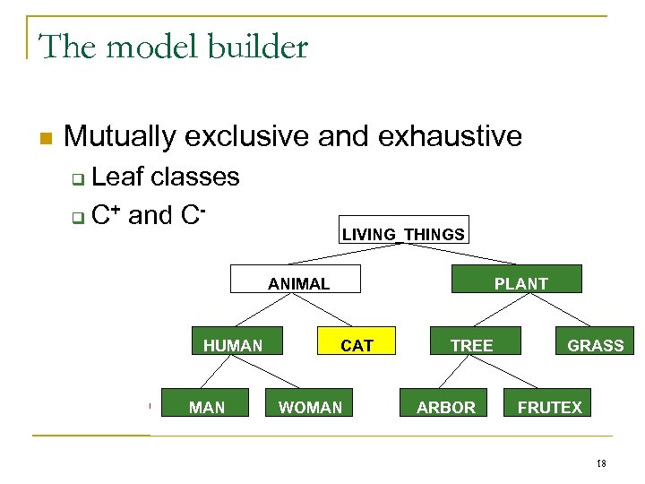 The model builder n Mutually exclusive and exhaustive Leaf classes q C+ and Cq