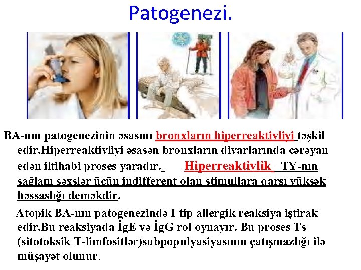 Patogenezi. BA-nın patogenezinin əsasını bronxların hiperreaktivliyi təşkil edir. Hiperreaktivliyi əsasən bronxların divarlarında cərəyan edən