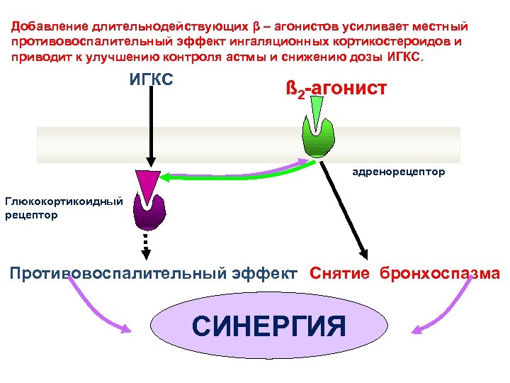 Добавление длительнодействующих β – агонистов усиливает местный противовоспалительный эффект ингаляционных кортикостероидов и приводит к