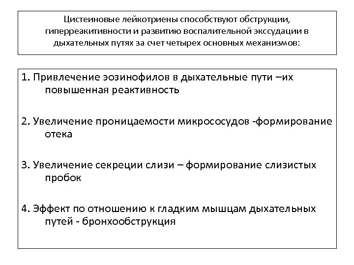 Цистеиновые лейкотриены способствуют обструкции, гиперреакитивности и развитию воспалительной экссудации в дыхательных путях за счет