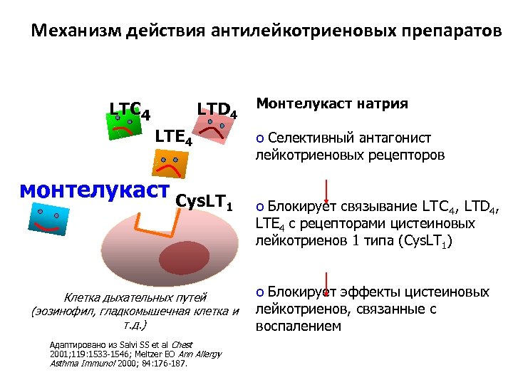 Механизм действия антилейкотриеновых препаратов LTD 4 LTС 4 LTЕ 4 o Селективный антагонист лейкотриеновых