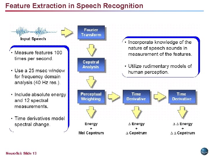 Feature Extraction in Speech Recognition Neuro. Sci: Slide 13 